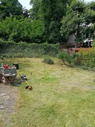 Entretien et taille de haie jardin à Golbey, Épinal, Frank Jardin et Fils