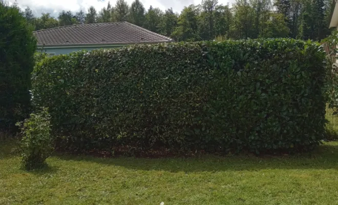 Nouveau support de communication web, Épinal, Frank Jardin et Fils